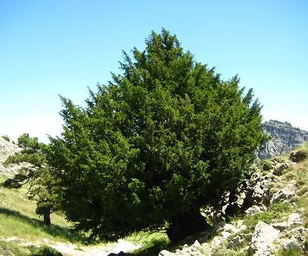 Ferienhaus La Remulla Paúls