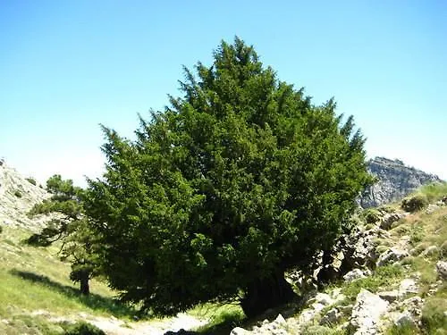 Сasa de vacaciones La Remulla Paüls